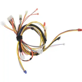 100275616 | Harness Main Unit with Flow Sensor for NKC110-199 | Lochinvar