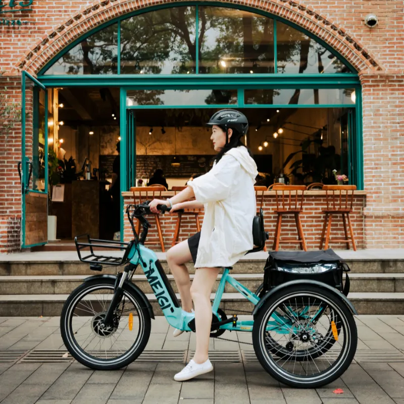 DWMeigi Silverado Folding Electric Tricycle, 48V/13Ah, 750W