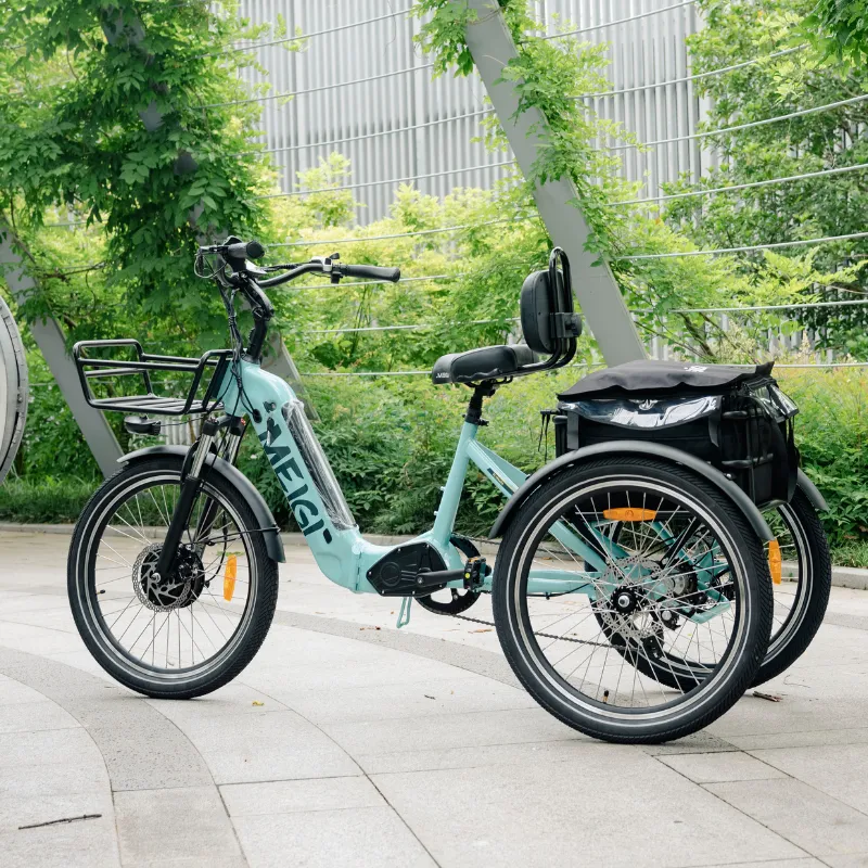 DWMeigi Silverado Folding Electric Tricycle, 48V/13Ah, 750W
