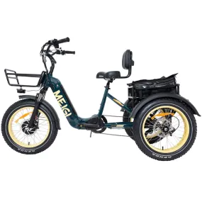 DWMeigi Silverado HD Fat Tire Electric Tricycle, 48V/14Ah, 750W