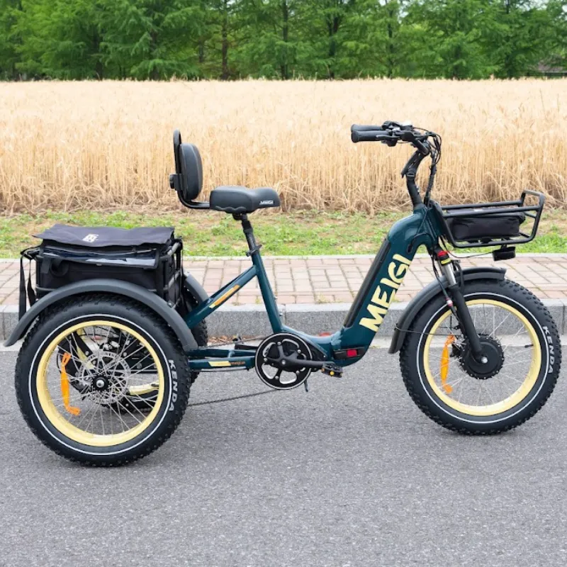 DWMeigi Silverado HD Fat Tire Electric Tricycle, 48V/14Ah, 750W