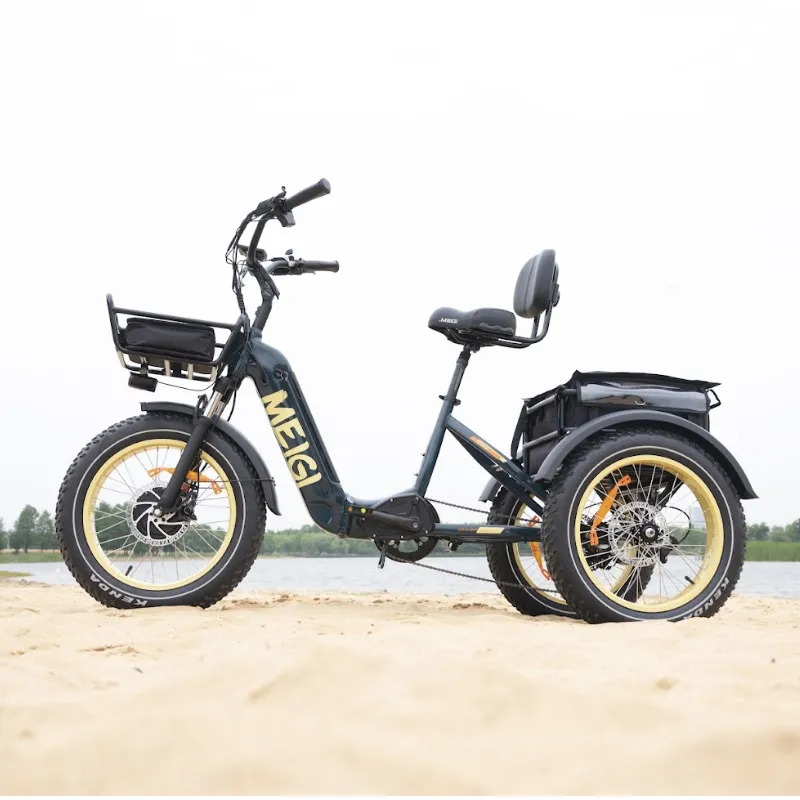 DWMeigi Silverado HD Fat Tire Electric Tricycle, 48V/14Ah, 750W