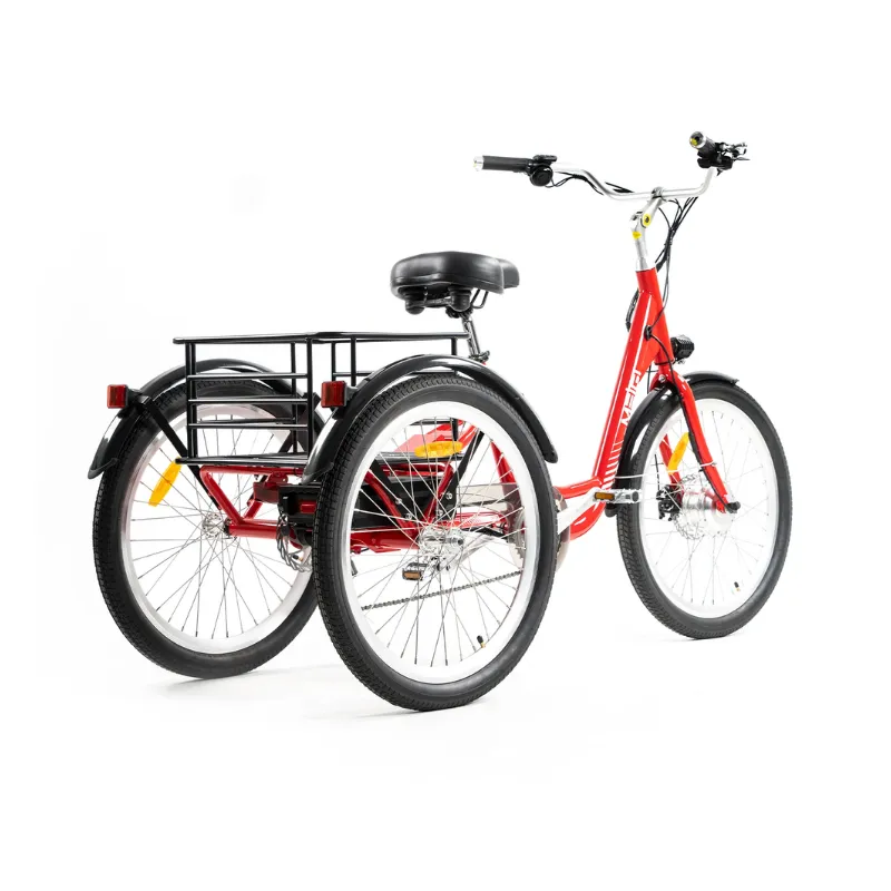 DWMeigi Urban Step Through Electric Tricycle, 36V/13Ah, 350W
