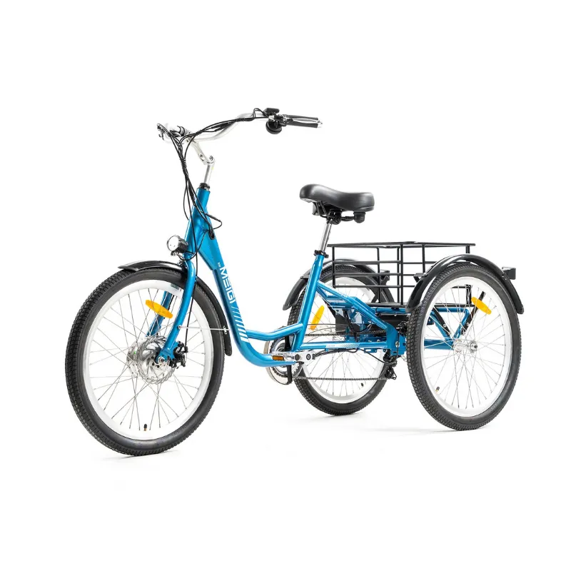 DWMeigi Urban Step Through Electric Tricycle, 36V/13Ah, 350W