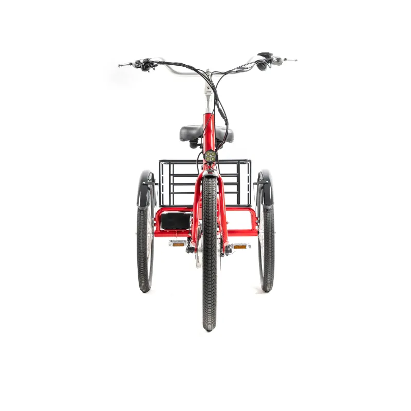 DWMeigi Urban Step Through Electric Tricycle, 36V/13Ah, 350W