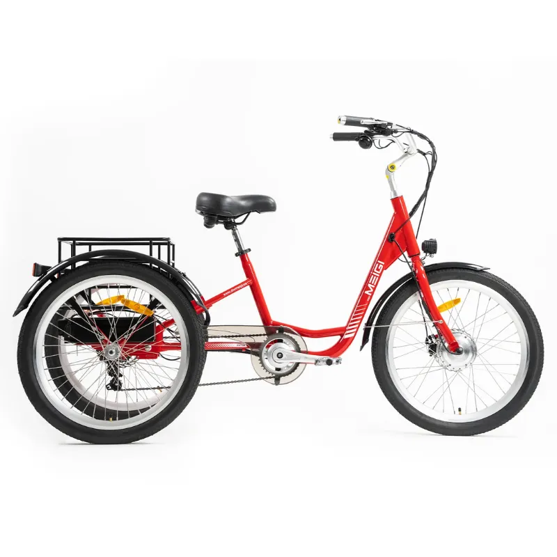 DWMeigi Urban Step Through Electric Tricycle, 36V/13Ah, 350W