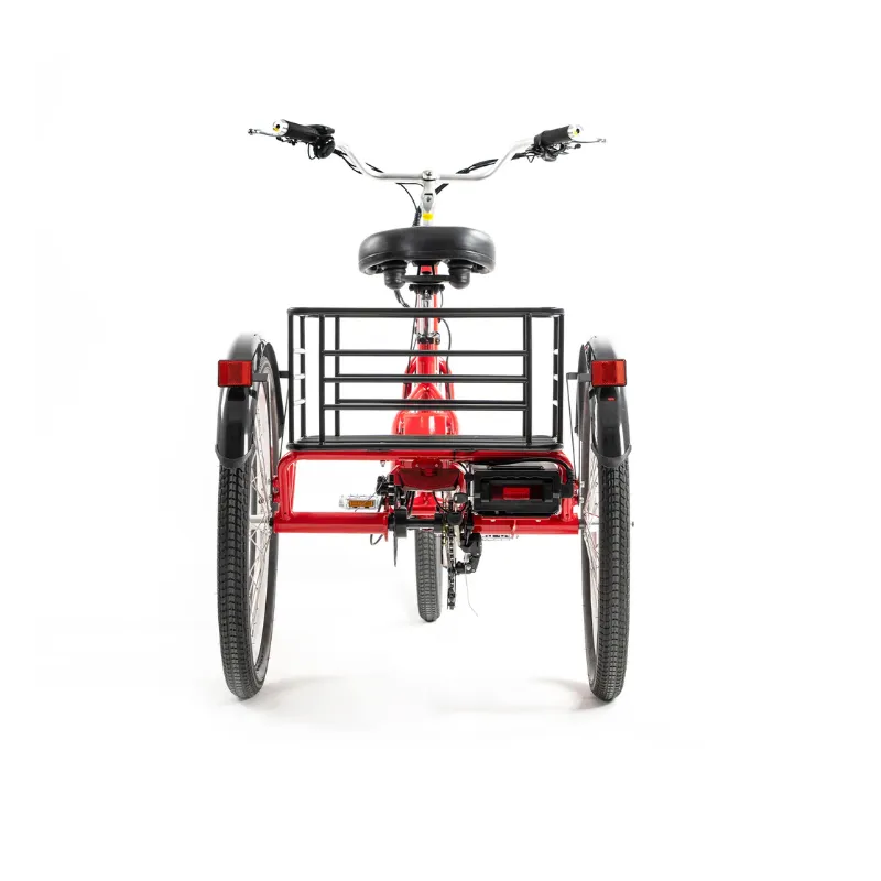 DWMeigi Urban Step Through Electric Tricycle, 36V/13Ah, 350W