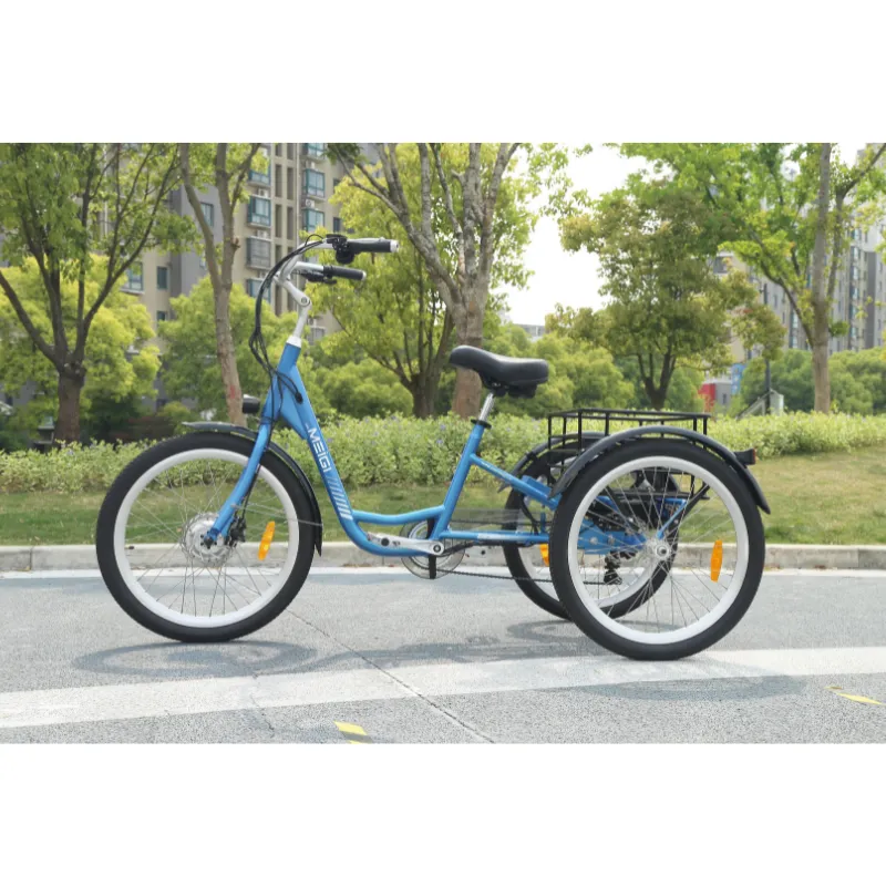 DWMeigi Urban Step Through Electric Tricycle, 36V/13Ah, 350W