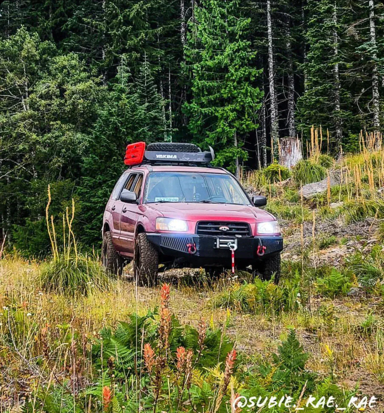 Flatout Coilovers Subaru Forester SJ (2014-2018) Lift Kit - GR Lite Off-Road Suspension