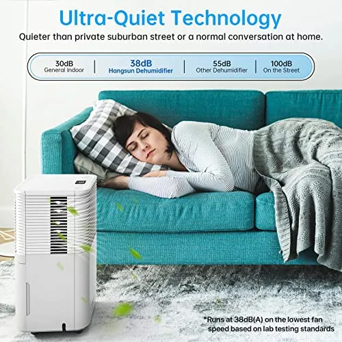 Hangsun 12L Dehumidifier with Digital Humidity Display (New)