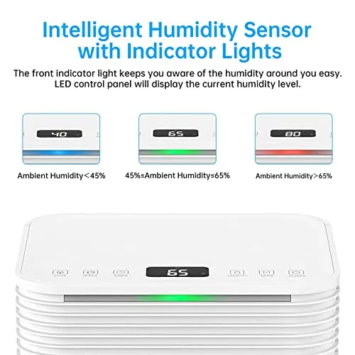 Hangsun 12L Dehumidifier with Digital Humidity Display (New)