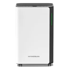 Hangsun 20L/Day Dehumidifiers for Home Dehumidifier for Drying Clothes and Damp (New)