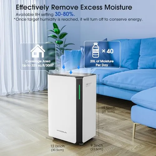 Hangsun 20L/Day Dehumidifiers for Home Dehumidifier for Drying Clothes and Damp (New)
