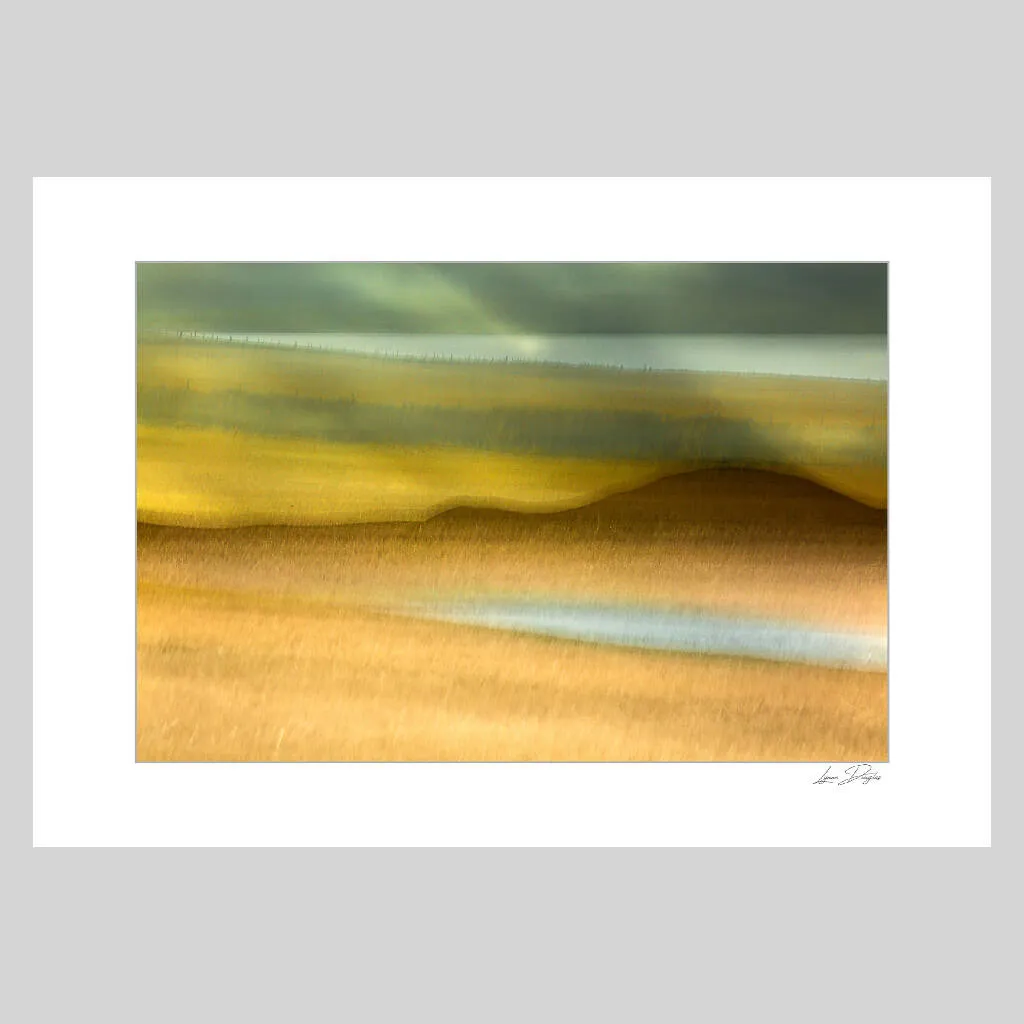 Harvest Time, Orkney