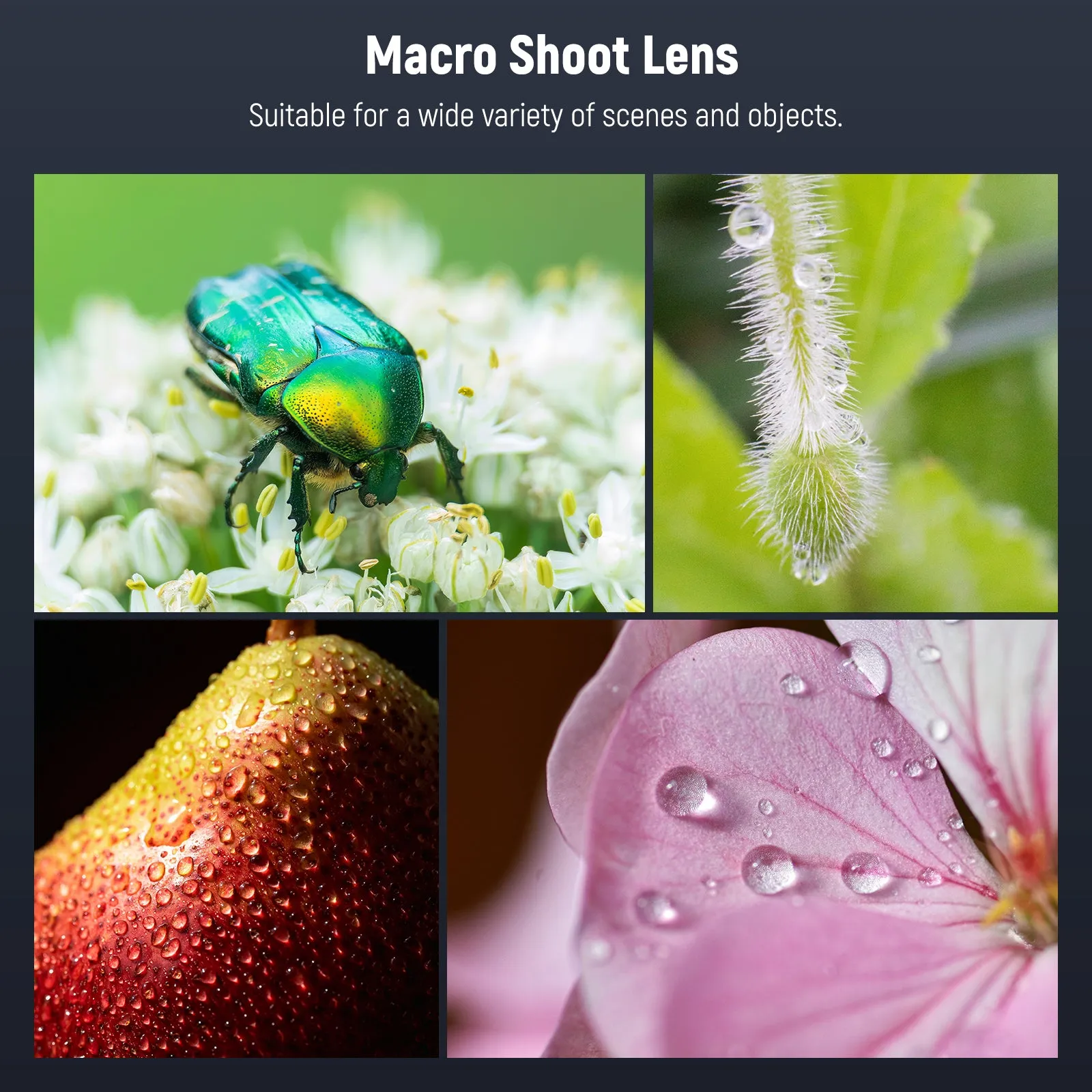 NEEWER LS-26 PRO 105mm Macro Lens with 17mm Phone Clip & 67mm Filter Adapter
